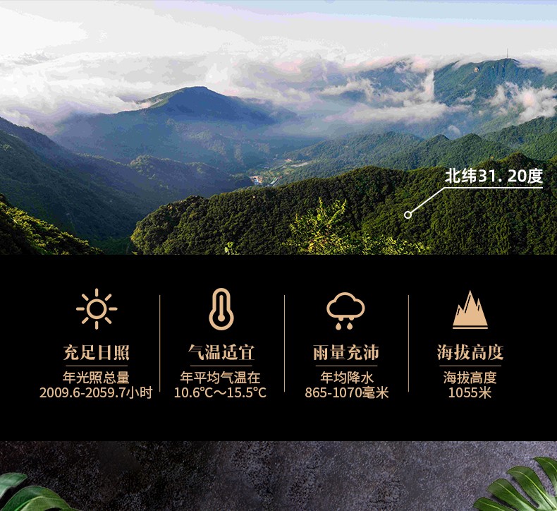 詳情頁3.jpg