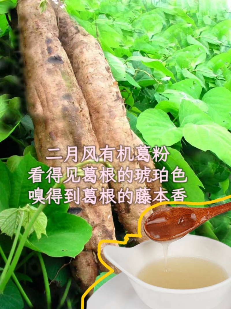 二月風(fēng)有機葛粉，看得見葛根的琥珀色，嗅得到葛根的藤本香_800.jpg