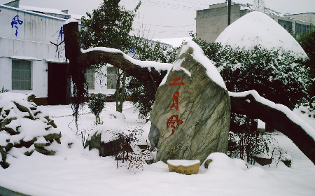 二月風(fēng)致老友：一碗葛根粉的牽掛，農(nóng)博會上的重逢之約二月風(fēng)盼老友：農(nóng)博會上，再續(xù)葛粉情緣