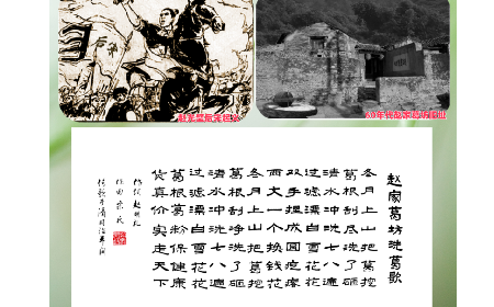 一口非遺古法香，半盞自然本真味|二月風野生葛根粉